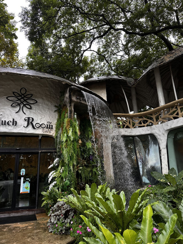 Rainforest Escape🌴 Rainforest Escape🌴