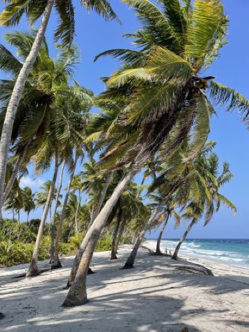 몰디브는 리조트만 있는 곳이 아닙니다 – 현지 섬들은 훨씬 더 경제적입니다.