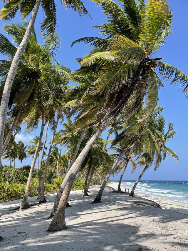 Maldives are not only resorts – local islands are far more budget-friendly 🏝️