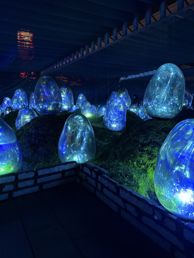 Experience the Digital Art World of teamLab Tokyo. | Trip.com Tokyo