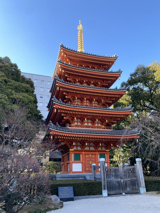 大公開!日本九州6日5夜行程連預算。