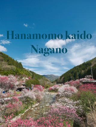 ถนนสายดอกท้อ Hanamomo kaido, Nagano