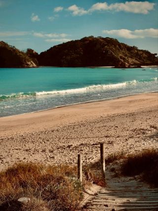 Wissant to Audinghem La Sirène Restaurant Window Cap Gris-Nez Surf Table — €22 Moules or Picnic in t