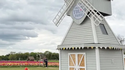 TULLEYS TULIP FARM — THE UNDERRATED FLOWER WONDERLAND OF THE UNITED KINGDOM!  — traveler post in Crawley