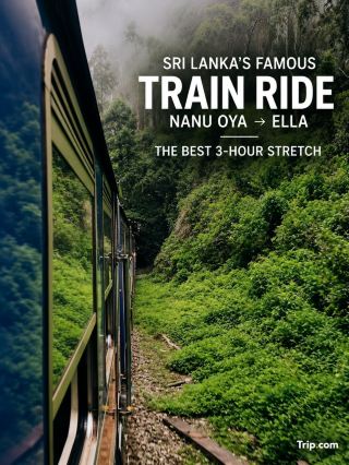 🇱🇰 Kandy to Ella Is Famous, but the Best Part Starts at Nanu Oya