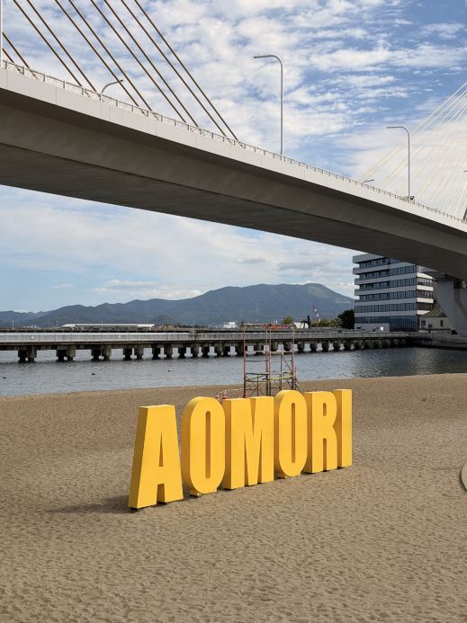 The Ultimate 1-Day Aomori Itinerary Guide 🌸🐟