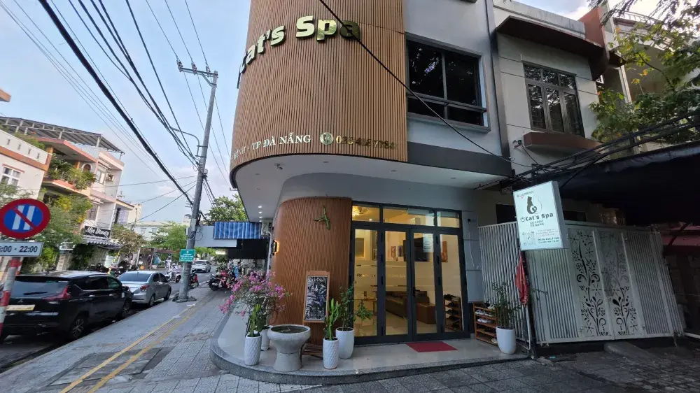峴港貓咪水療按摩。