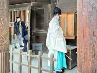 Make a wish at Hokkaido-Jingu