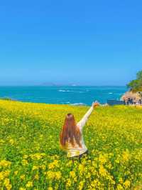 바다와 유채꽃을 한번에, 전북 부안 여행🌼
