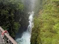 트와일라잇촬영지로 알려진 Vancouver에 위치한 Lynn Canyon park