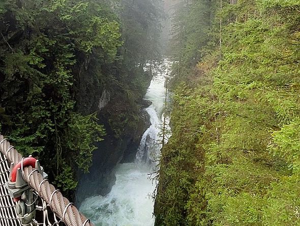 트와일라잇촬영지로 알려진 Vancouver에 위치한 Lynn Canyon park