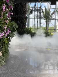 Shanghai Greenhouse Garden