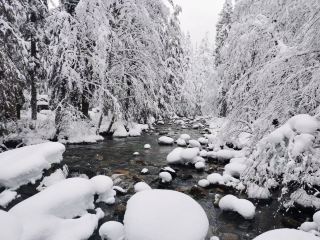 The Pacific Northwest transforms into a winter wonderland the moment it snows.