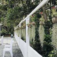 Mx Coffee & Restaurant ร้านสวยที่รือเสาะ