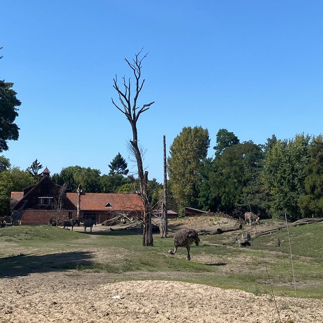🇵🇱 Best family attraction: Wroclaw zoo 🦒