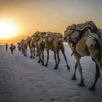 my wonderful trip to danakil depression 