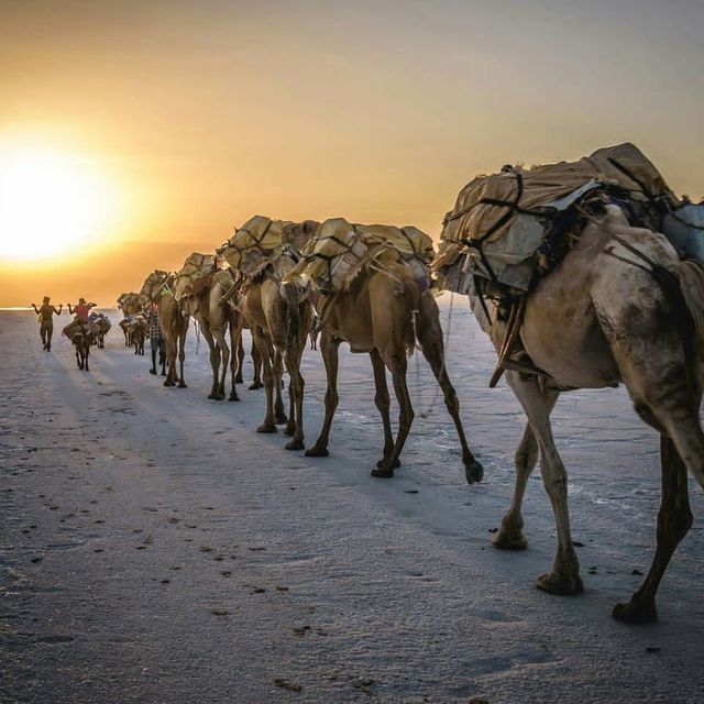 my wonderful trip to danakil depression 