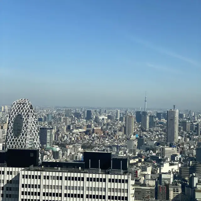 View of Tokyo Metrepolitian government office