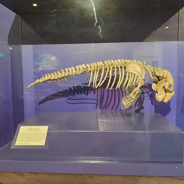 National Museum of Natural History Manila 🗺️