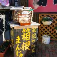 《箱根關所》🌸江戶時代的軍事檢查哨所🌸