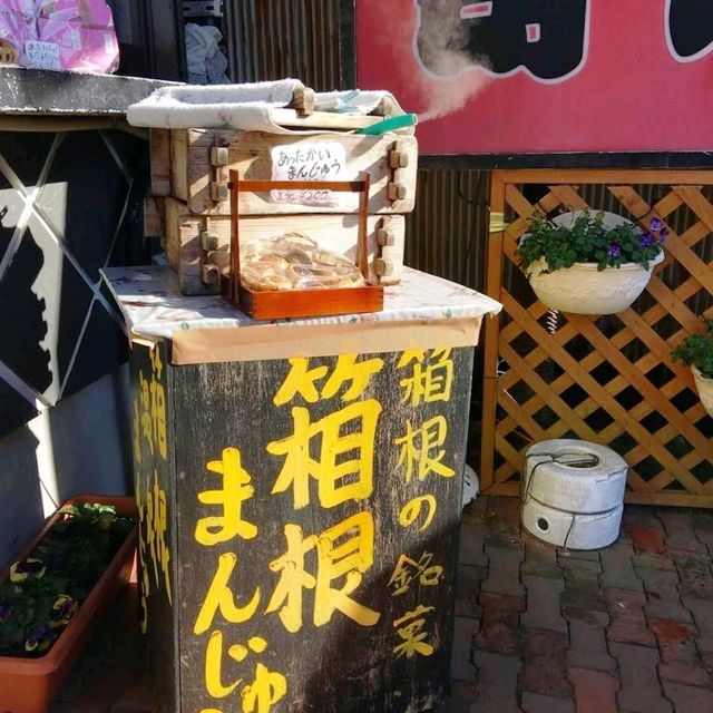 《箱根關所》🌸江戶時代的軍事檢查哨所🌸