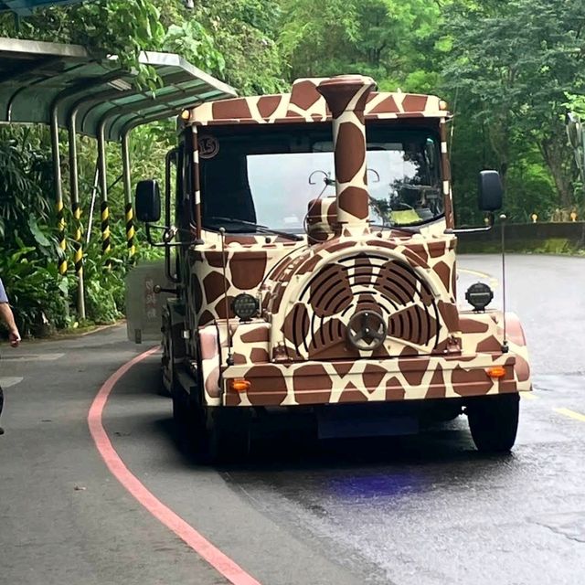 《臺北市立動物園》🐼熊貓熱🐼園區極大一天都行不完🦁