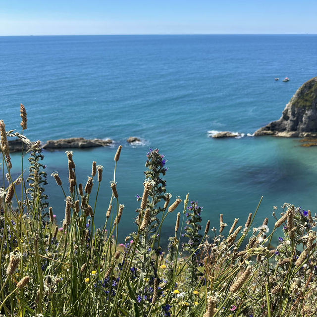 ☀️Durdle Door☀️