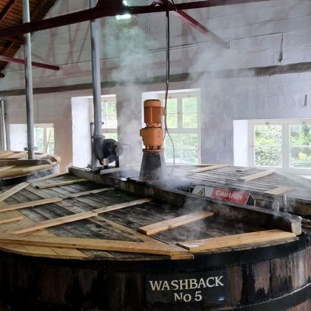 【蘇格蘭高地釀酒廠tour】威士忌製作之旅，限量版酒可買