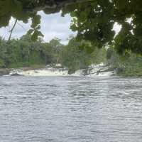 Marvel at the Majestic Chutes de la Lobé 🌊🌴