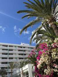 GRAN CANARIA 🌺