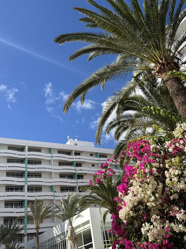 GRAN CANARIA 🌺