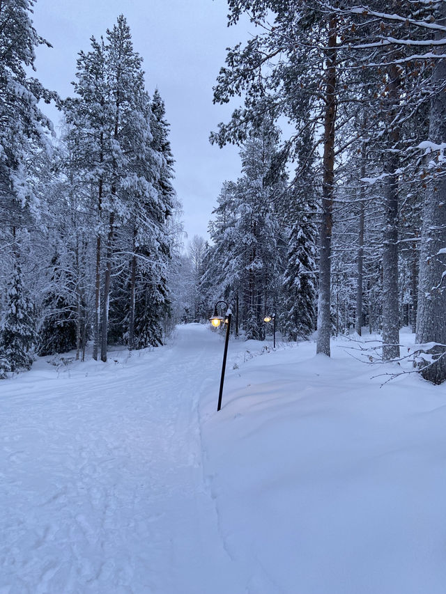 5-day exploring the Santa Claus Village, Arctic Circle in Lapland, Finland