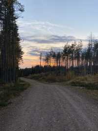 “Spent a perfect autumn day hiking in Nuuksio National Park, Finland🍂🌲