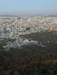 🌆🌿 Seoul from Above: N Seoul Tower & Namsan Park
