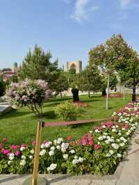 Spring Blossoms at Turan Park
