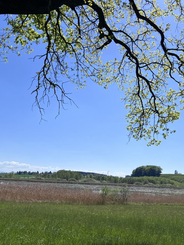**Egglsee in Ebersberg：湖光森林裡的隱藏版療癒時光**  