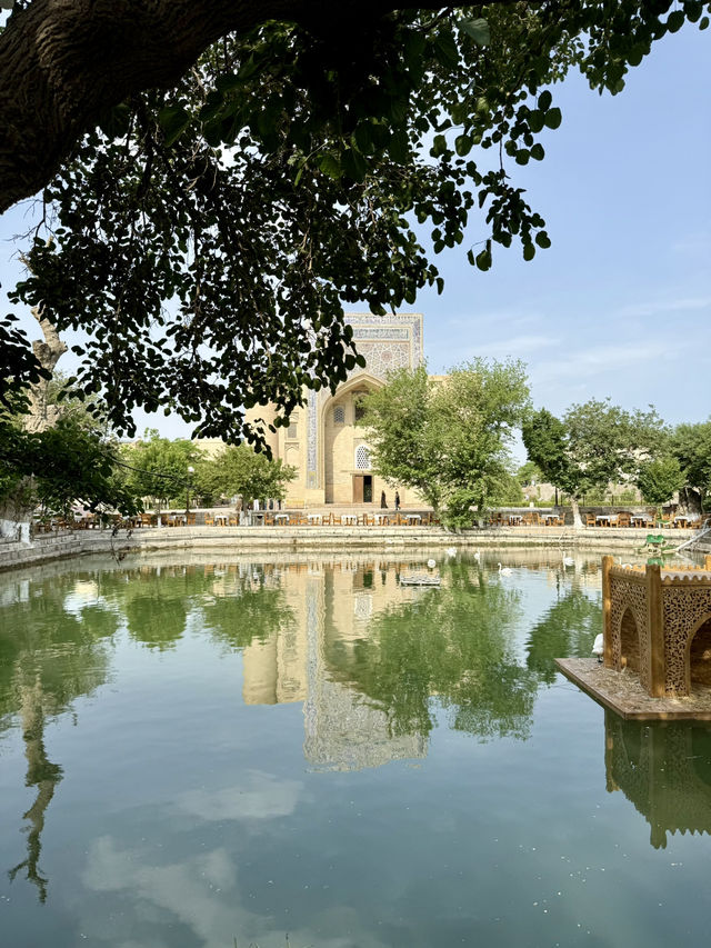 Springtime Magic at Lyabi Khause – Bukhara’s Heartbeat