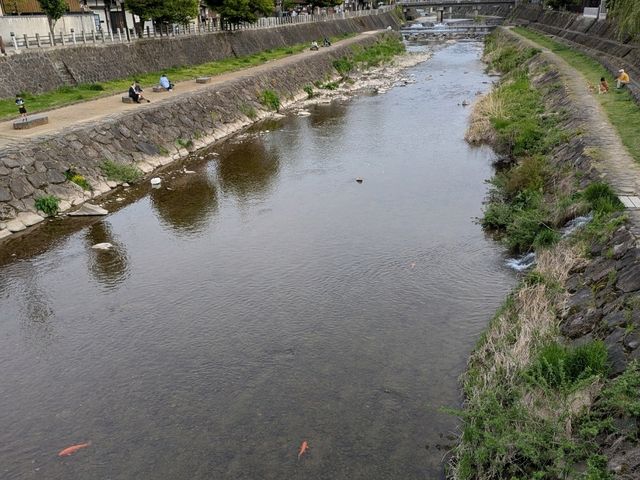 1 day in Takayama
