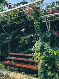 🌿🚂 Phounsouk Garden - สวรรค์ธรรมชาติ 🌿🚂