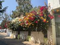 Sun, Sand, and Ryanair: A Summer Escape to Agadir