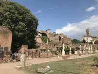 Roma: looking for history - Go to the FORUM