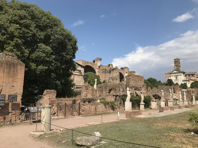 Roma: looking for history - Go to the FORUM