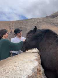 Let me tell on how Trip.com changed my Canary Islands journey