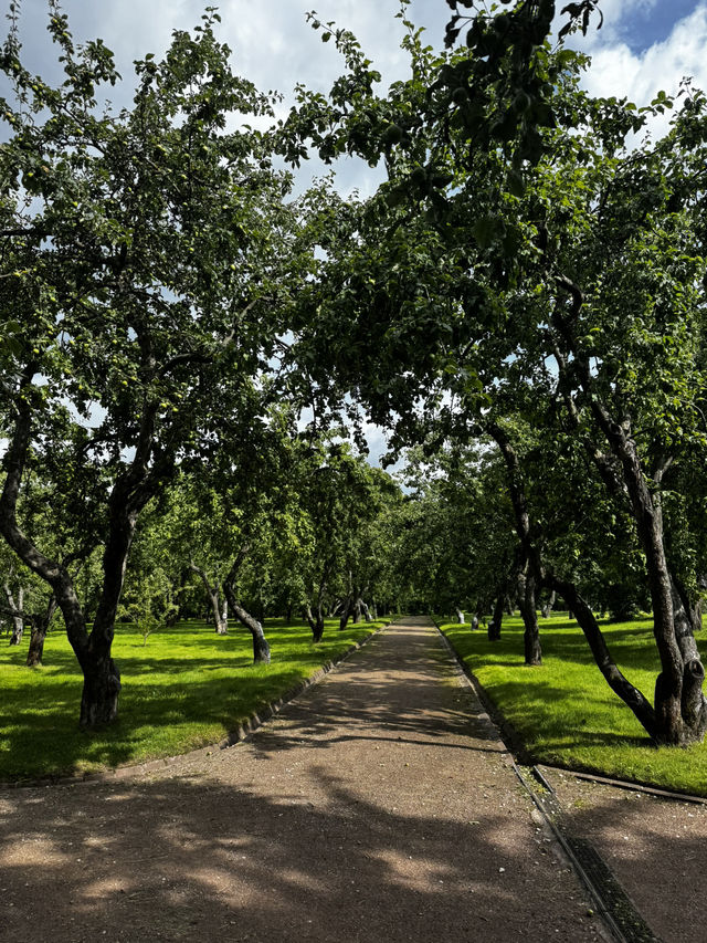 Kolomenskoye: How I Came for a Walk and Left Feeling Magic