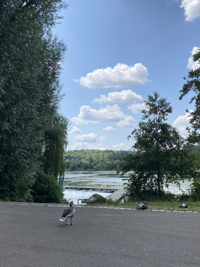 🦆🪿Max-Eyth-See ของดีเมือง Stuttgart✨