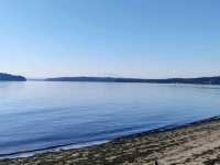 Mt Rainer Viewing Spot