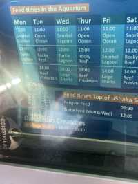 Durban Day Trip Itinerary