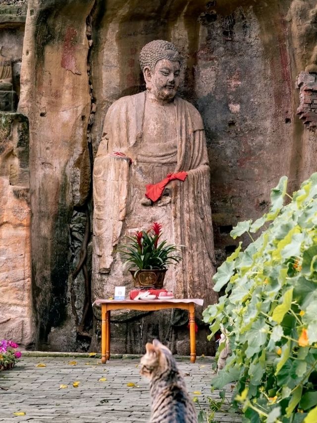 🕊️ Where Mountains Meet the Dharma – Donglin Temple, Lushan, China