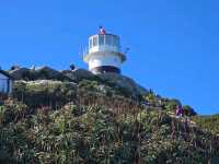 Cape Peninsula: The tip of the Cape