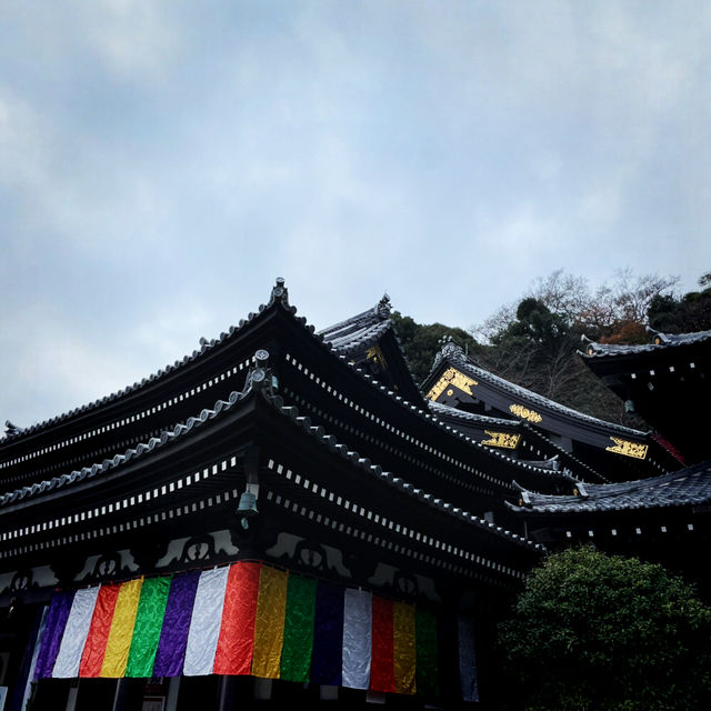 Kamakura Day Trip: Temples, Trails & Ocean Breeze Kamakura Day Trip: Temples, Trails & Ocean Breeze